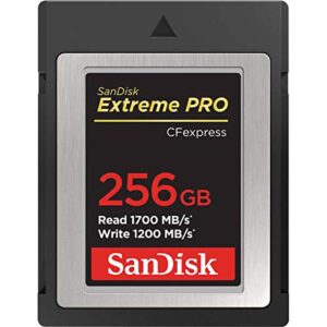 sandisk extreme pro 256gb cfexpress type-b memory card, 1700mb/s read, 1200mb/s write