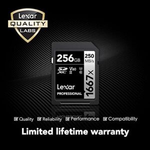 Lexar Professional 1667x 64GB (2-Pack) SDXC UHS-II Cards, Up To 250MB/s Read, for Professional Photographer, Videographer, Enthusiast (LSD64GCBNA16672)