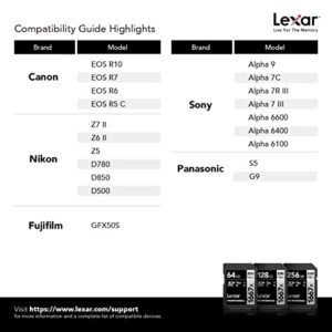 Lexar Professional 1667x 64GB (2-Pack) SDXC UHS-II Cards, Up To 250MB/s Read, for Professional Photographer, Videographer, Enthusiast (LSD64GCBNA16672)