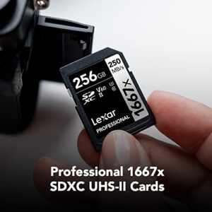 Lexar Professional 1667x 64GB (2-Pack) SDXC UHS-II Cards, Up To 250MB/s Read, for Professional Photographer, Videographer, Enthusiast (LSD64GCBNA16672)