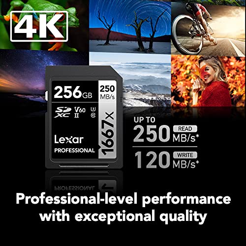 Lexar Professional 1667x 64GB (2-Pack) SDXC UHS-II Cards, Up To 250MB/s Read, for Professional Photographer, Videographer, Enthusiast (LSD64GCBNA16672)