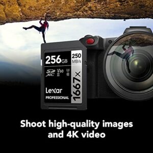 Lexar Professional 1667x 64GB (2-Pack) SDXC UHS-II Cards, Up To 250MB/s Read, for Professional Photographer, Videographer, Enthusiast (LSD64GCBNA16672)