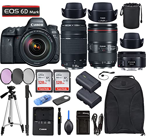 6D Mark II DSLR Camera with EF24-105mm f/4L II USM + EF 50mm f/1.8 STM + EF 75-300mm f/4-5.6 III Lenses Bundle, Accessories (256Gb Memory Card, Extra Battery, Travel Charger and More)