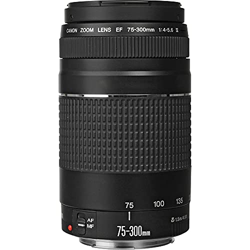 6D Mark II DSLR Camera with EF24-105mm f/4L II USM + EF 50mm f/1.8 STM + EF 75-300mm f/4-5.6 III Lenses Bundle, Accessories (256Gb Memory Card, Extra Battery, Travel Charger and More)