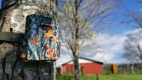 Browning Trail Cameras Browning Strike Force HD Pro-X Camera with 32 GB SD Card, Batteries, Card Reader, Reinforced Strap, and Spudz Microfiber Cloth Screen Cleaner