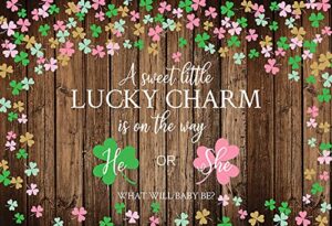 mehofond lucky charm gender reveal backdrop st. patrick’s day baby shower party decor banner supplies pink or green shamrock clover background cake table studio photo prop vinyl 7x5ft