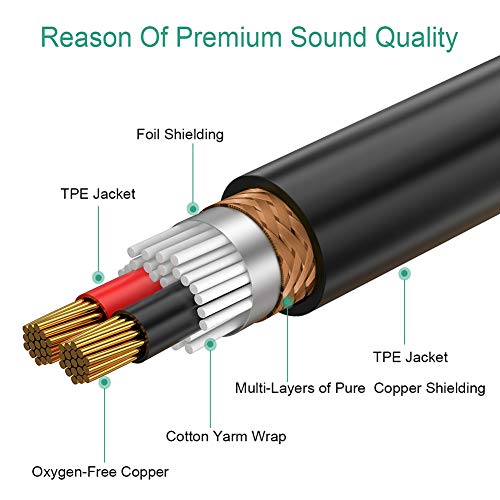 JOMLEY 1/8 Stereo to Dual 1/4 Mono Cable, 3.5mm TRS to Dual 1/4" TS Stereo Breakout Cable - 3.3ft