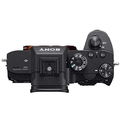 Sony a7R III Full Frame Mirrorless Interchangeable Lens Camera 42.4MP Body ILCE7RM3/B Bundle with Vertical Battery Grip, 128GB Memory Card, Paintshop Pro Software and Accessories (12 Items)