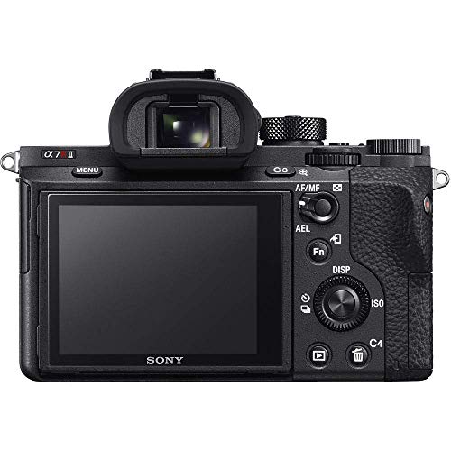 Sony Alpha a7R II Mirrorless Digital Camera (Body Only) (ILCE7RM2/B) + 64GB Memory Card + Corel Photo Software + Case + 2 x NPF-W50 Battery + Card Reader + LED Light + More (Renewed)