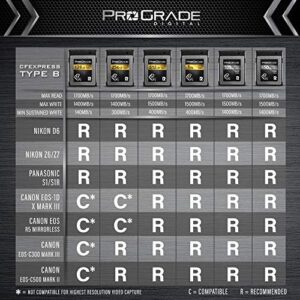ProGrade Digital Memory Card - CFexpress Type B for Cameras | Optimized for Express Transfer of Files & Large Storage | 650GB Cobalt Series