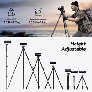 SmallRig 54" Lightweight Compact Carbon Fiber Tripod with Detachable Monopod, 360° Ball Head, Quick Release Plate, Load up to 26.5 lbs/12 kg, for Canon for Sony, DSLR Camera, Phone, Camcorder-4060