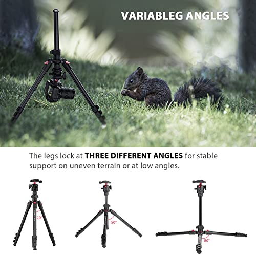 PHOPIK 64" Camera Tripod, Aluminum Camera Tripod for DSLR,Compact Tripod with 360° Panorama Ball Head, Professional Camera Tripod for Travelling, Learning and Working