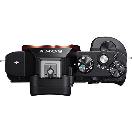 Sony Alpha a7 III Mirrorless Digital Camera - Standard Kit
