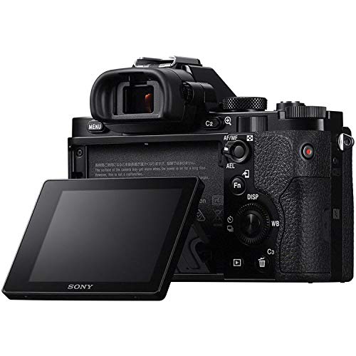 Sony Alpha a7 III Mirrorless Digital Camera - Standard Kit