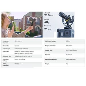 Deity V-Mic D4 Duo Video Microphone Dual Mono/Stereo Recording Interview Mic with Shock Mount for Vlog Pocket Cam DSLR Camera