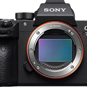 Sony Alpha a7R III A Mirrorless Camera (Body Only) with Software Suite, Gadget Bag, 128GB SD Card, and Accessory Bundle (9 Items)