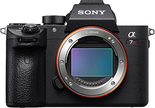 Sony Alpha a7R III A Mirrorless Camera (Body Only) with Software Suite, Gadget Bag, 128GB SD Card, and Accessory Bundle (9 Items)