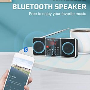 PRUNUS J-288 Portable Radio AM FM Radio with Bluetooth Speaker, Sleep Timer, Power-Saving Display, Ultra-Long Antenna, AUX Input & USB Disk & TF Card MP3 Player, NO Manual Preset