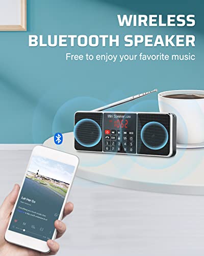 PRUNUS J-288 Portable Radio AM FM Radio with Bluetooth Speaker, Sleep Timer, Power-Saving Display, Ultra-Long Antenna, AUX Input & USB Disk & TF Card MP3 Player, NO Manual Preset