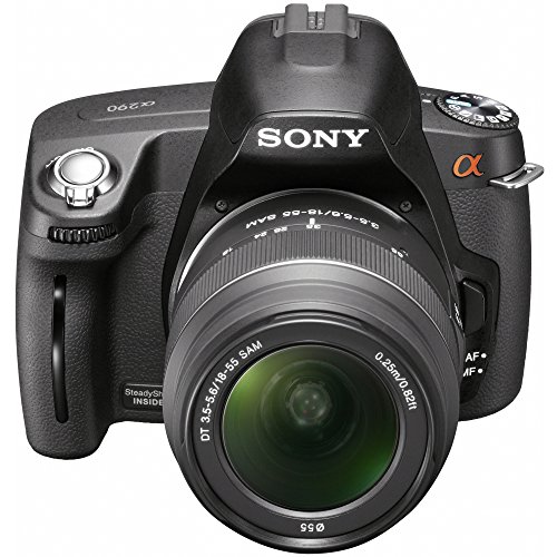 Sony Alpha A290L 14.2 MP Digital SLR Camera with 18-55mm Lens