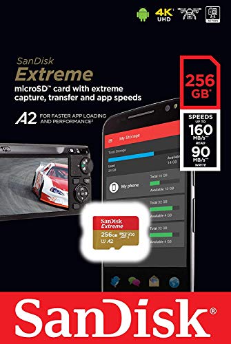 SanDisk Extreme (UHS-1 U3 / V30) A2 256GB MicroSD (2 Pack) Memory Card for GoPro Hero 9 Black Action Cam Hero9 SDXC (SDSQXA1-256G-GN6MN) Bundle with (1) Everything But Stromboli Micro SD Card Reader