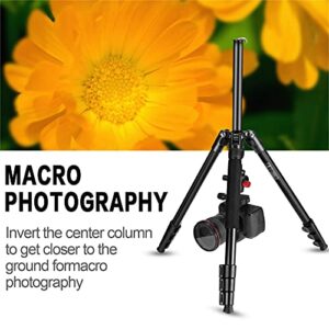 MACTREM Professional Camera Tripod with Phone Mount, 62" DSLR Tripod for Travel, Super Lightweight and Reliable Stability, Ball Head Tripod Detachable Monopod with Carry Bag (Black)