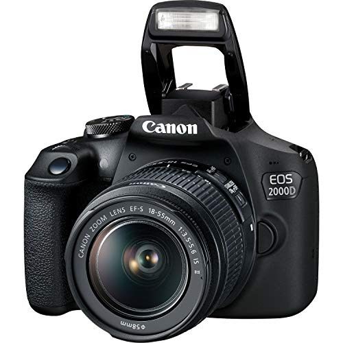 Canon EOS 2000D (Rebel T7) DSLR Camera with EF-S 18-55mm f/3.5-5.6 is II Lens + 64GB SDXC, Digital Flash, Extended Life Replacement Battery, Water Resistant Gadget Bag & More (19pc Bundle)