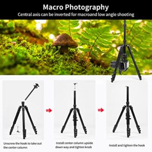 Nietoto 68" Camera Tripod, Aluminum Travel Tripod for Camera, DSLR Camema Tripod, Compact Professional Camera Tripod Monopod with 360 Panorama Ball Head, 1/4 QR Plate, Carry Bag