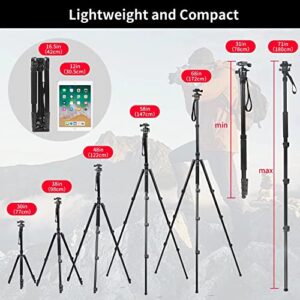 Nietoto 68" Camera Tripod, Aluminum Travel Tripod for Camera, DSLR Camema Tripod, Compact Professional Camera Tripod Monopod with 360 Panorama Ball Head, 1/4 QR Plate, Carry Bag