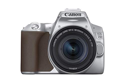 Canon EOS 250D (Rebel SL3) DSLR Camera w/ 18-55mm is STM Lens (Silver) (International Model) (Renewed)