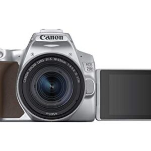 Canon EOS 250D (Rebel SL3) DSLR Camera w/ 18-55mm is STM Lens (Silver) (International Model) (Renewed)