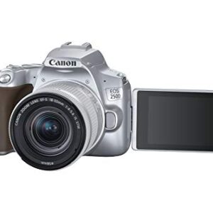 Canon EOS 250D (Rebel SL3) DSLR Camera w/ 18-55mm is STM Lens (Silver) (International Model) (Renewed)