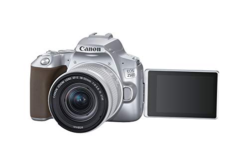 Canon EOS 250D (Rebel SL3) DSLR Camera w/ 18-55mm is STM Lens (Silver) (International Model) (Renewed)