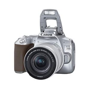 Canon EOS 250D (Rebel SL3) DSLR Camera w/ 18-55mm is STM Lens (Silver) (International Model) (Renewed)