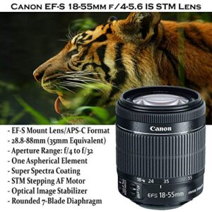 Canon EOS Rebel SL3 DSLR Camera Bundle with Canon EF-S 18-55mm STM Lens & EF 75-300mm III Lens + 32GB Sandisk Memory + Camera Case + Digital Flash + Accessory Bundle