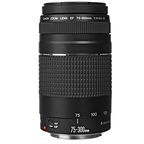 EOS 800D (Rebel T7i) DSLR Camera w/EF-S 18-55mm F/4-5.6 is STM Lens + 75-300mm F/4-5.6 III Lens + 50mm f/1.8 STM Lens + 420-800mm Super Telephoto Lens + 128GB Memory (42pc Extreme Bundle)