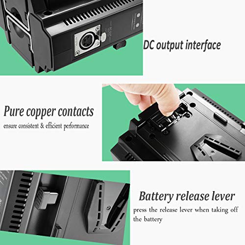 Dual Channel V-Mount/V Lock Battery Charger Compatible with All 14.4V/14.8V V-Mount Batteries,V-Mount Brick (Battery Not Included)