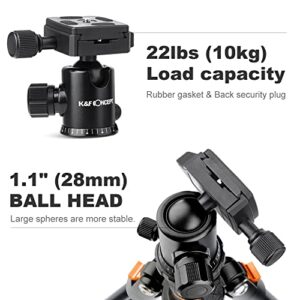 K&F Concept 64''/162cm DSLR Tripod,Lightweight and Compact Aluminum Camera Tripod with 360 Panorama Ball Head Quick Release Plate for Travel and Work B234A1+BH-28 (Orange)