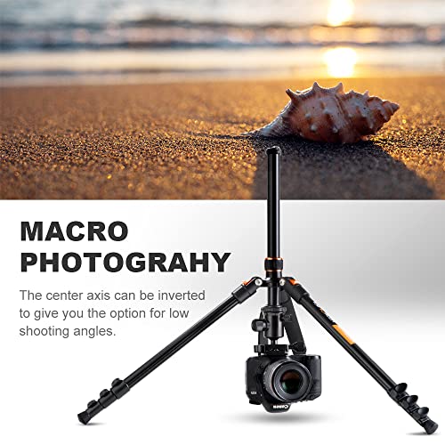 K&F Concept 64''/162cm DSLR Tripod,Lightweight and Compact Aluminum Camera Tripod with 360 Panorama Ball Head Quick Release Plate for Travel and Work B234A1+BH-28 (Orange)