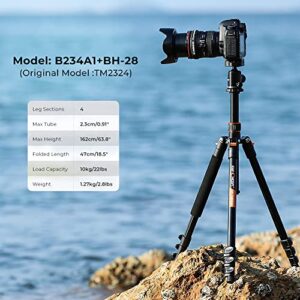 K&F Concept 64''/162cm DSLR Tripod,Lightweight and Compact Aluminum Camera Tripod with 360 Panorama Ball Head Quick Release Plate for Travel and Work B234A1+BH-28 (Orange)