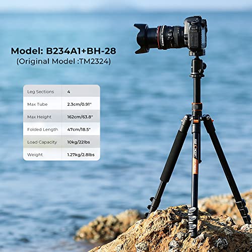 K&F Concept 64''/162cm DSLR Tripod,Lightweight and Compact Aluminum Camera Tripod with 360 Panorama Ball Head Quick Release Plate for Travel and Work B234A1+BH-28 (Orange)