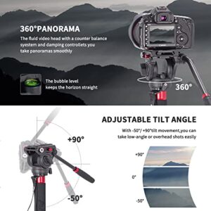 Avella CD324 Carbon Fiber Video Monopod Kit, with Fluid Head and Removable feet, 71 Inch Max Load 13.2 LB for Canon Nikon Sony Olympus Panasonic DSLR Camera