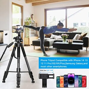 Camera Tripods & Monopods, Tripod for Camera Phone, 5 in 1 Aluminum Heavy Duty Camera Stand, Phone Tripod, Monopods, Selfie Stick, Trekking Poles, Compatible with Canon Nikon DSLR iPhone Camcorder