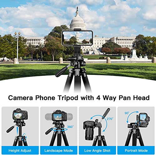 Camera Tripods & Monopods, Tripod for Camera Phone, 5 in 1 Aluminum Heavy Duty Camera Stand, Phone Tripod, Monopods, Selfie Stick, Trekking Poles, Compatible with Canon Nikon DSLR iPhone Camcorder