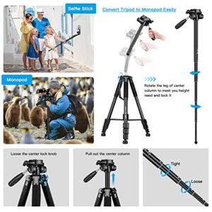 Camera Tripods & Monopods, Tripod for Camera Phone, 5 in 1 Aluminum Heavy Duty Camera Stand, Phone Tripod, Monopods, Selfie Stick, Trekking Poles, Compatible with Canon Nikon DSLR iPhone Camcorder