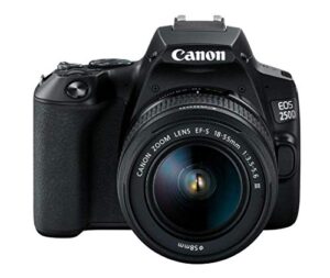 canon eos 250d (rebel sl3) dslr camera w/ 18-55m dc lens (renewed)