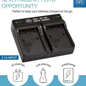 BM 2 NP-FV70 Batteries & Dual Charger for Sony FDR-AX700, PXW-Z90V, HXR-NX80, HDR-CX455 HDR-CX675, CX330, CX900, PJ340, PJ540, PJ670B, PJ810, FDR-AX33, FDR-AX53, FDR-AX100, NEX-VG10, VG20, VG30 VG900