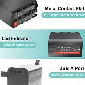 2-Pack NP-F970 Battery Compatible with Sony NP-F970 NP-F550 NP-F750 NP-F950 NP-F570 NP-F960 NP-F930 NP-F975 NP-F980 DCR-VX2100 DSR-PD170 HDR-AX2000E LED Video Light Camcorder Monitor with USB Output