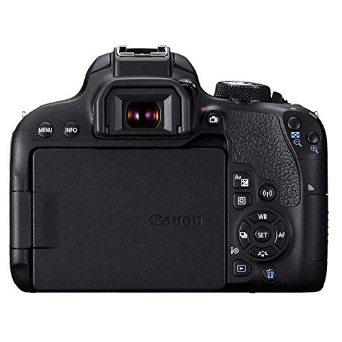 Canon EOS 800D / Rebel T7i w/Canon EF-S 18-55mm F/4-5.6 is STM Zoom Lens & Professional Accessory Bundle W/ 128GB Memory Card & Back-Pack Case & Spare Battery & More (Renewed)