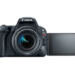 Canon EOS Rebel SL2 with 18-55mm Digital SLR Camera Kit 2249C002 (Renewed)